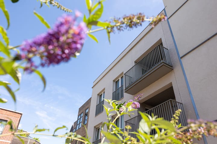 Foto 4 van Zoemerenstraat 22