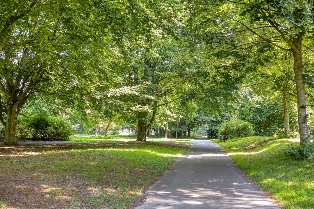 Photo 26 of Gravin Juliana van Stolberglaan 588