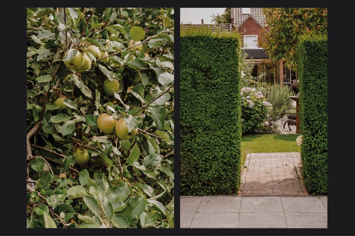 Foto 14 van Hoofdstraat 178