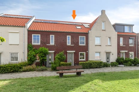 undefined main image