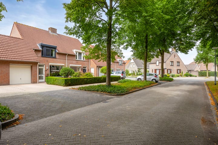 Foto 3 van Oisterwijkplantsoen 12