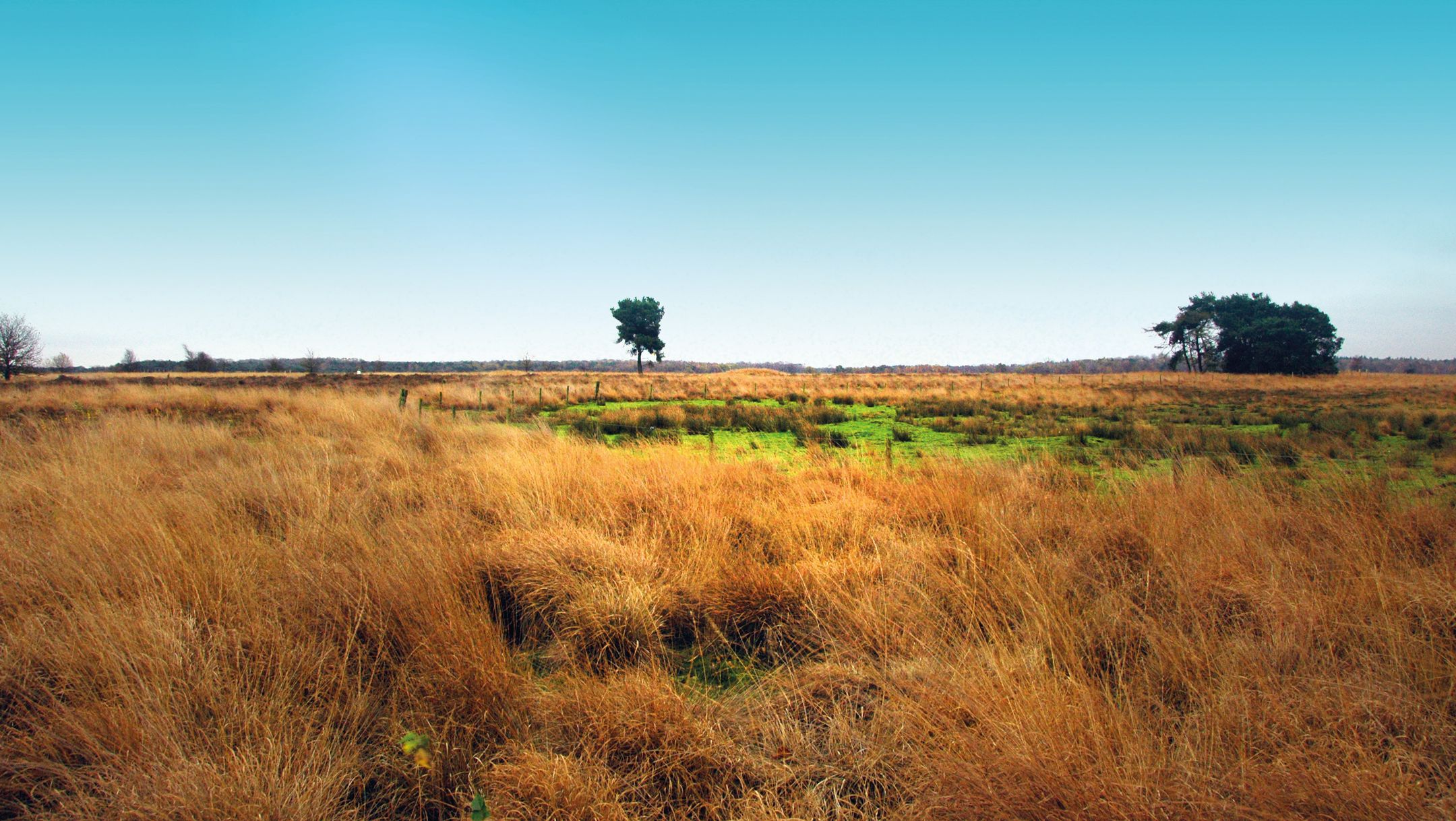 Foto 60 van Oisterwijkplantsoen 12