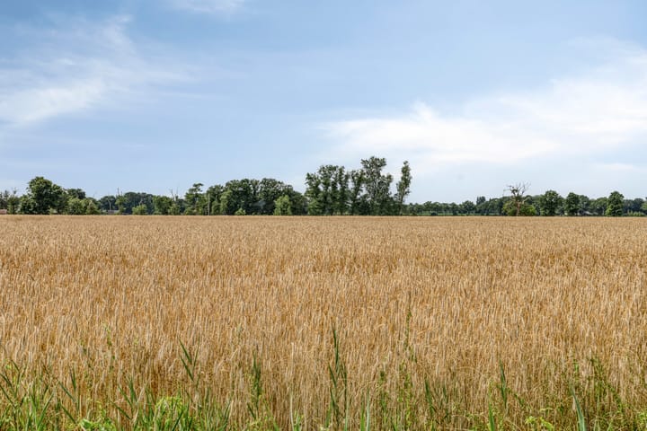 Foto 42 van Kerkereed 8