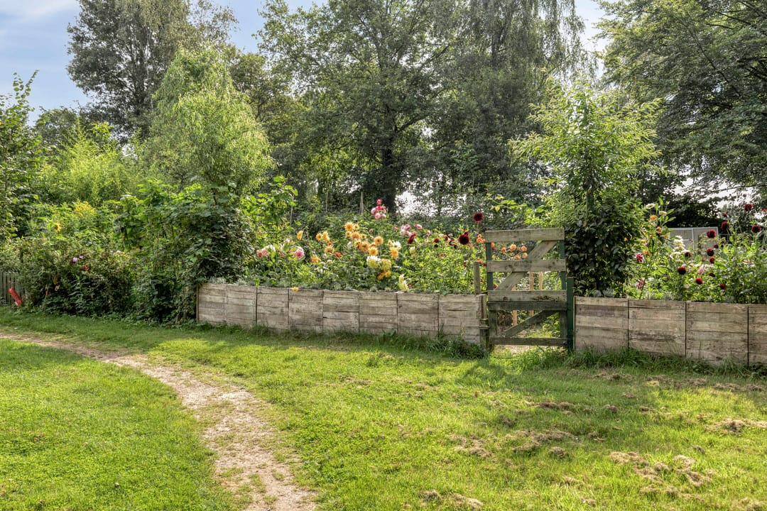 Foto 31 van De Pas 68