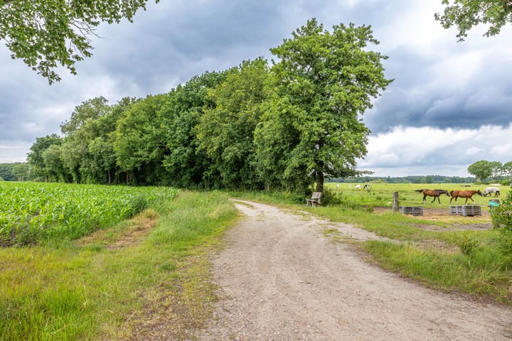 Foto 69 van Zuidesch 4