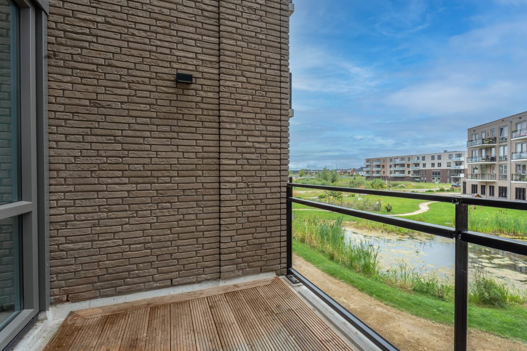 Photo 7 of Kruithoorn 30