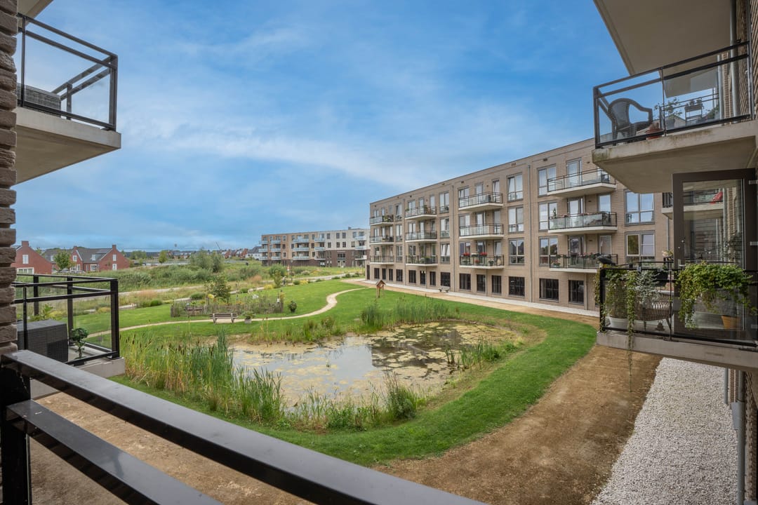 Photo 8 of Kruithoorn 30