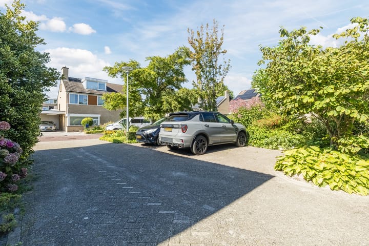 Foto 38 van De Wulp 3