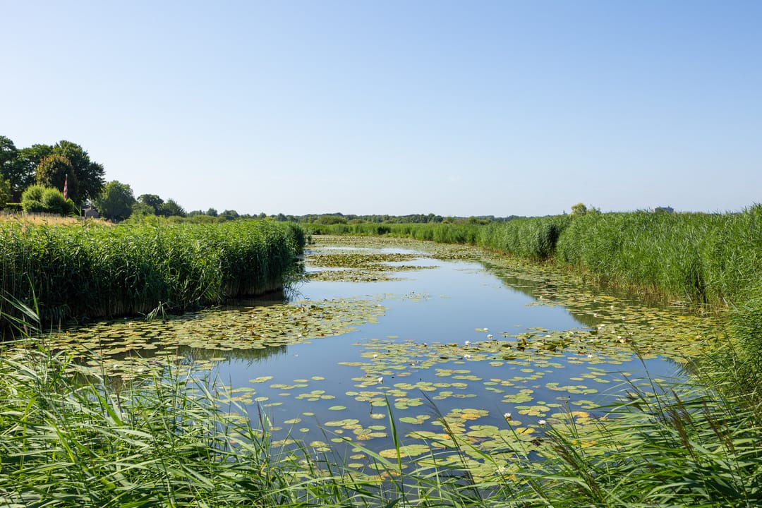 Foto 46 van Choorstraat 67