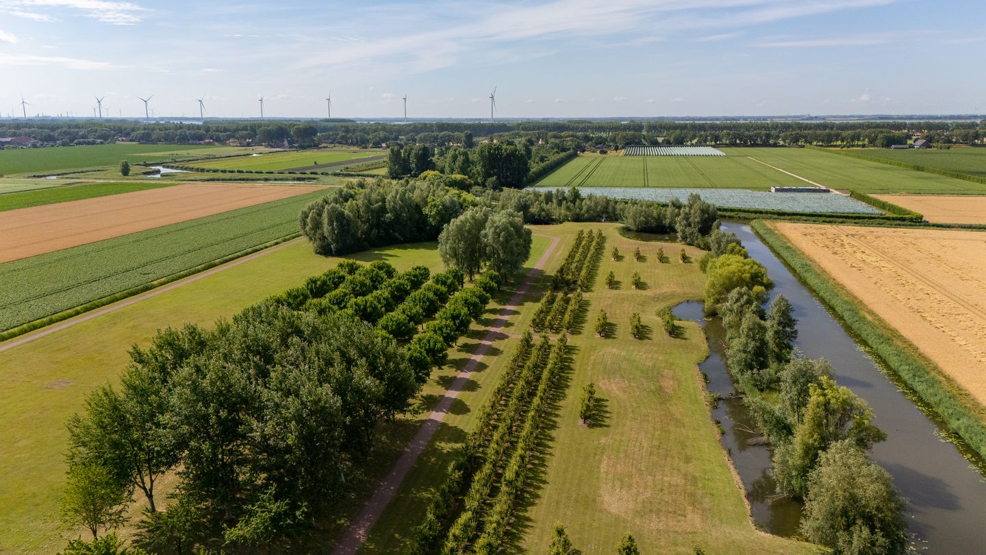 Foto 35 van Middelsluissedijk OZ 74-A