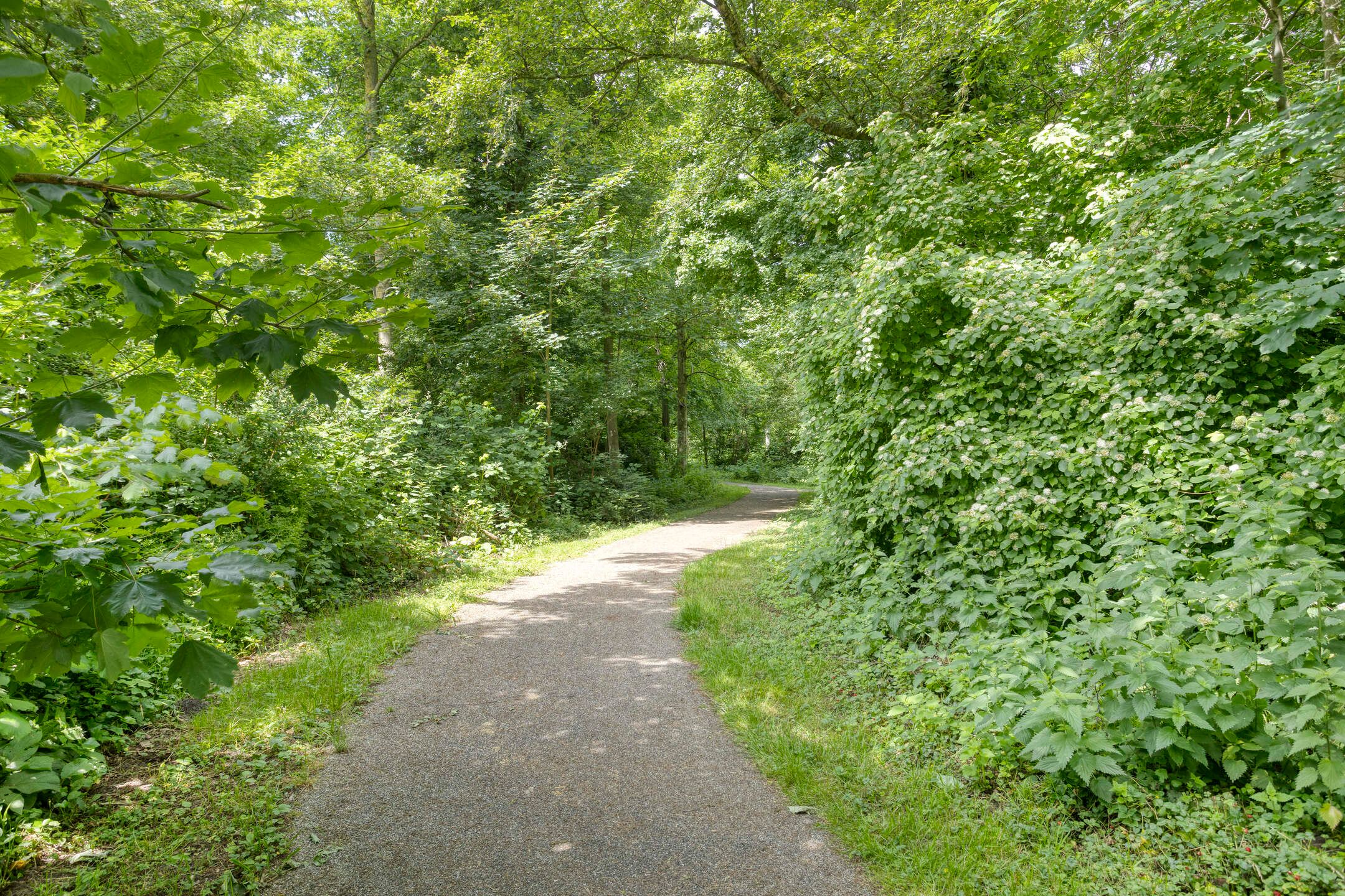 Photo 42 of Tweeschaar 19