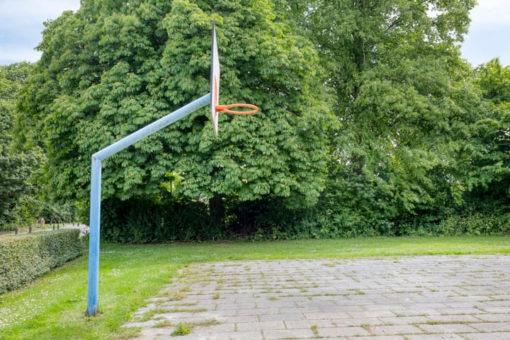 Foto 41 van Tweeschaar 19