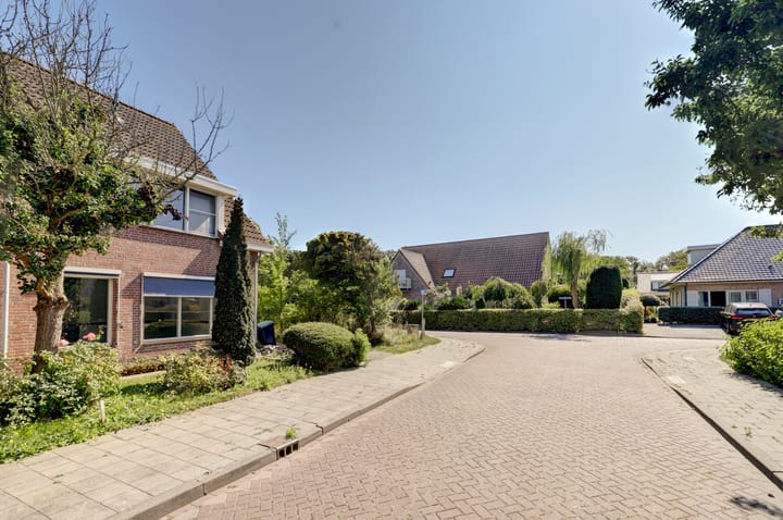 Foto 5 van de Spaier 16
