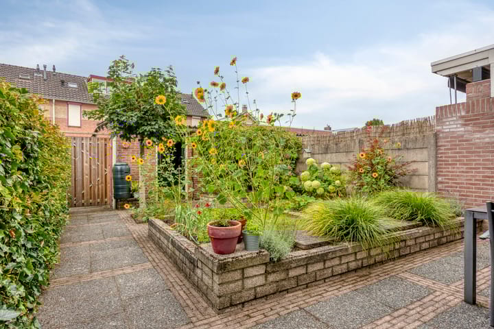 Foto 33 van Heer van Rodestraat 169