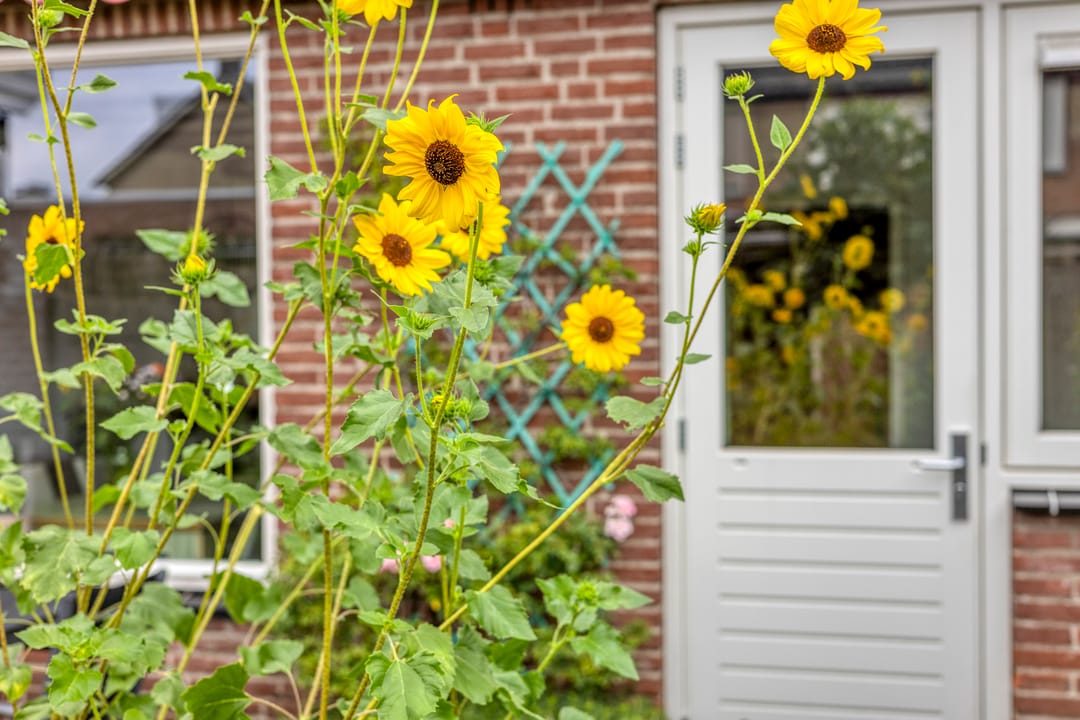 Foto 37 van Heer van Rodestraat 169