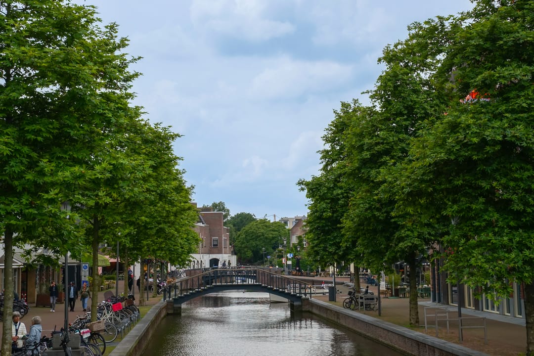 Foto 31 van Ortolaanstraat 9