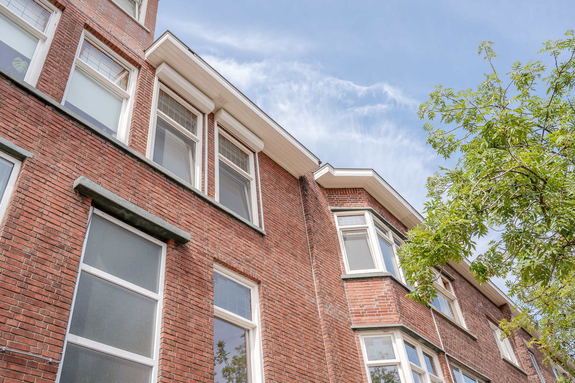 Foto 3 van Mient 455