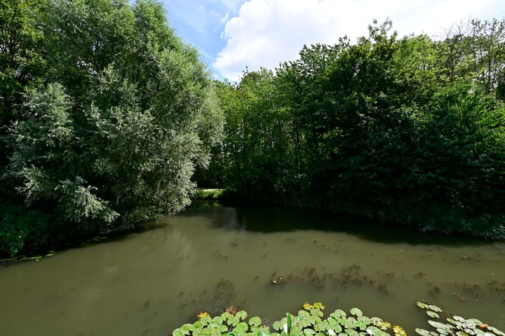 Foto 32 van Cole Porterhof 151