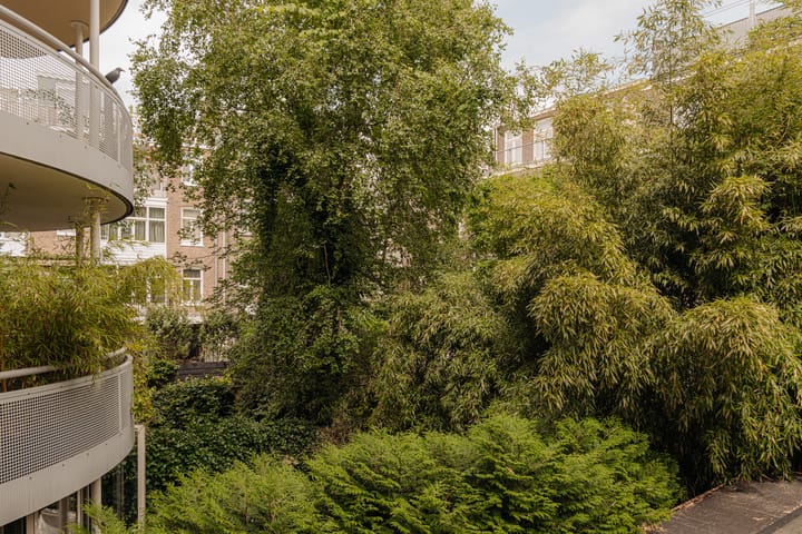 Photo 11 of Pieter de Hoochstraat 5-G