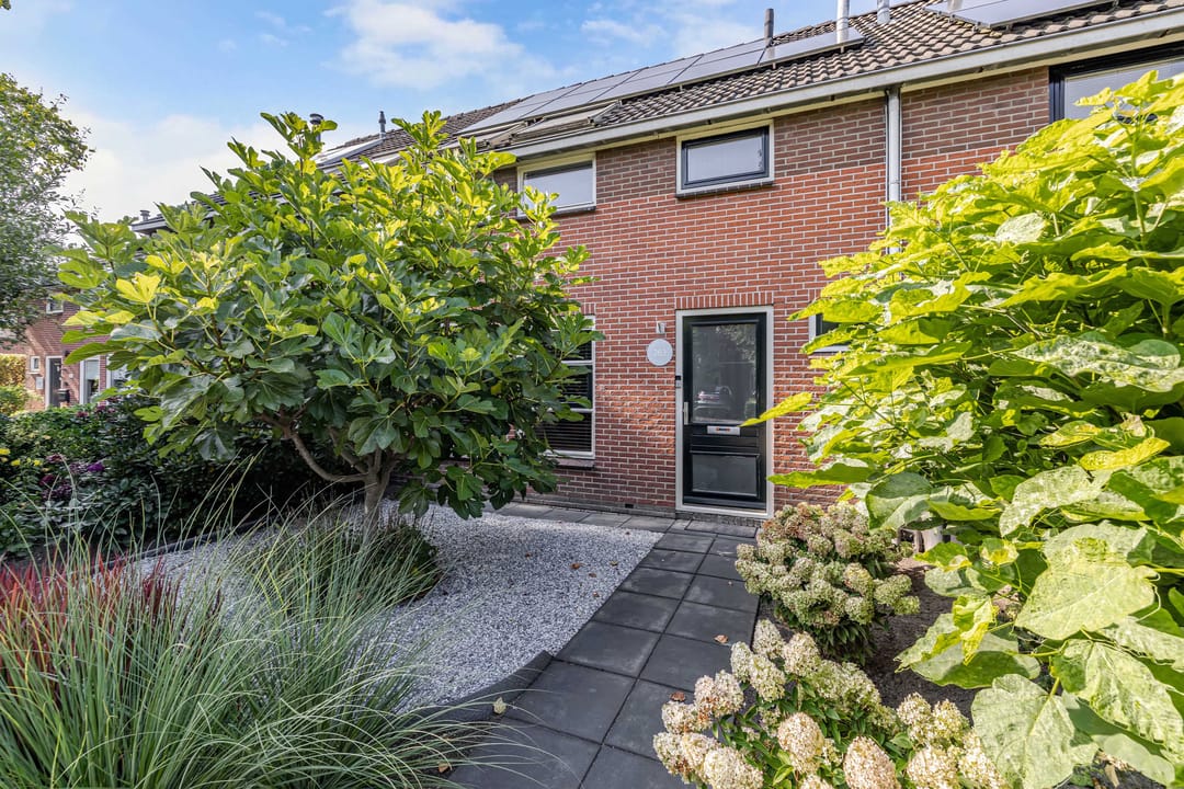 Foto 7 van De Nova Cura 263