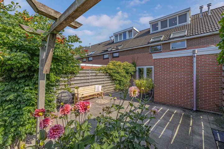 Foto 39 van De Nova Cura 263