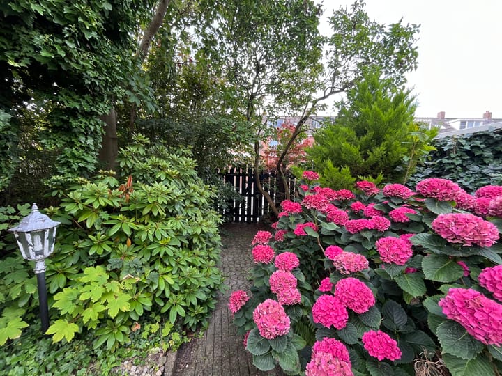 Foto 13 van Tedingh van Berkhoutplantsoen 23