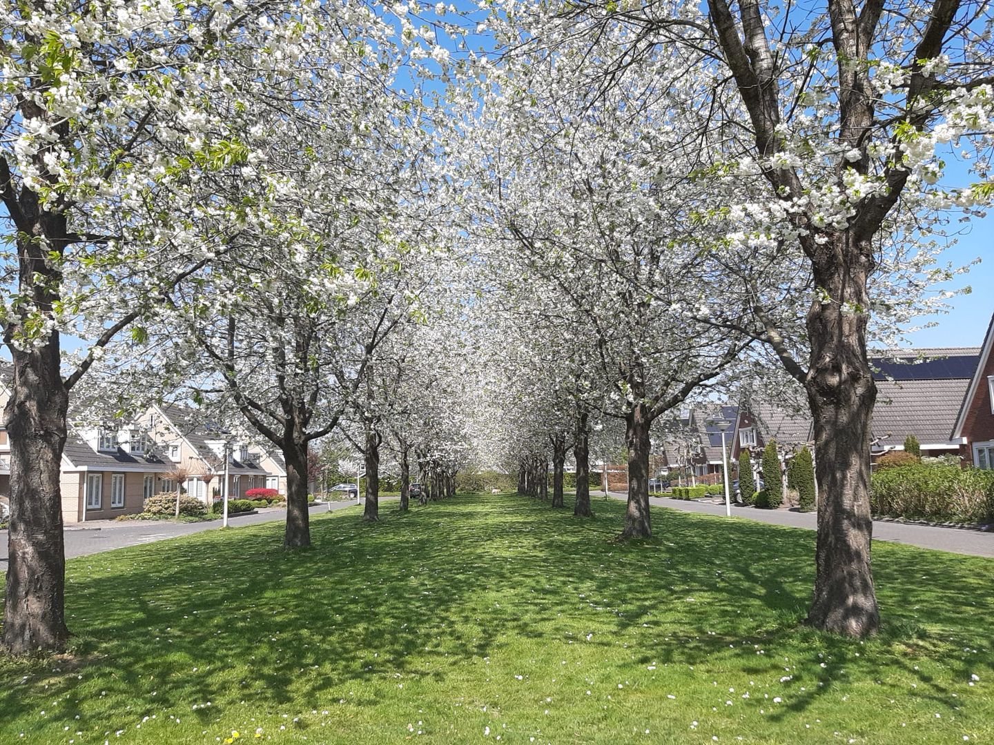 Foto 50 van Gerniersstrjitte 11