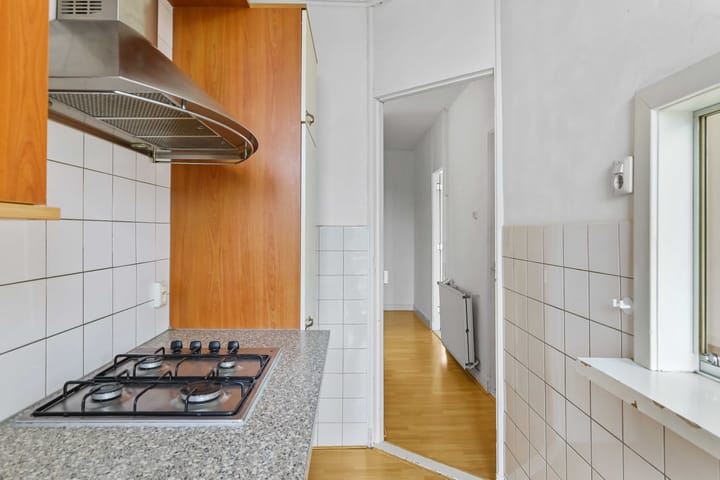 Photo 14 of Bergse Dorpsstraat 28-B02