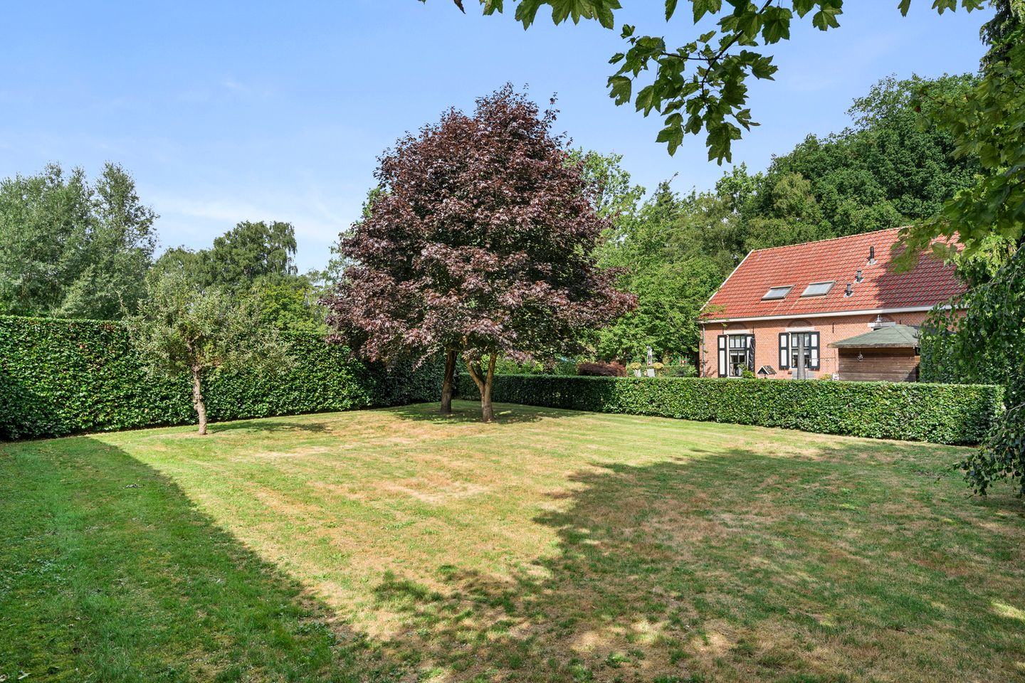 Foto 4 van Zoomweg 16