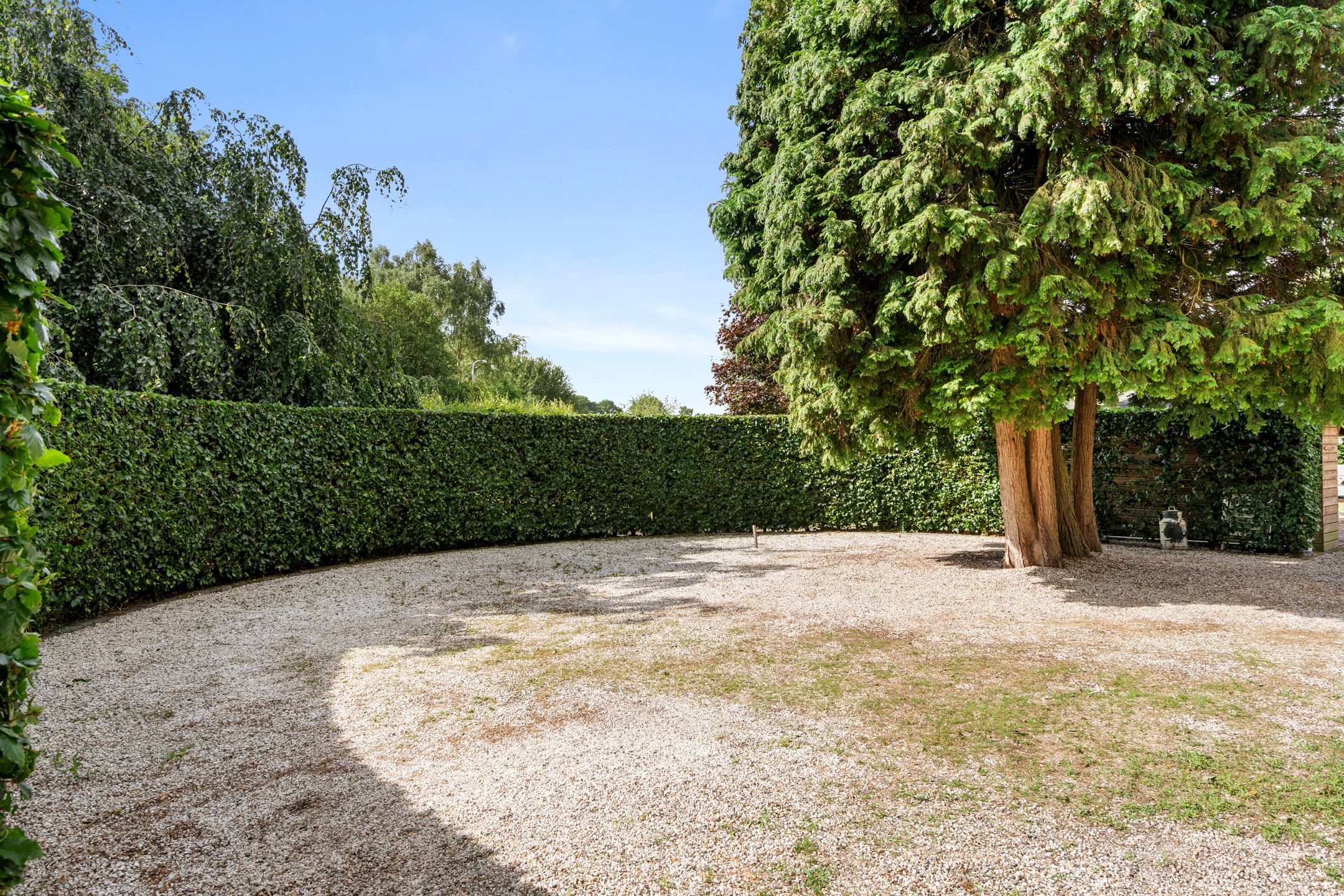 Foto 24 van Zoomweg 16