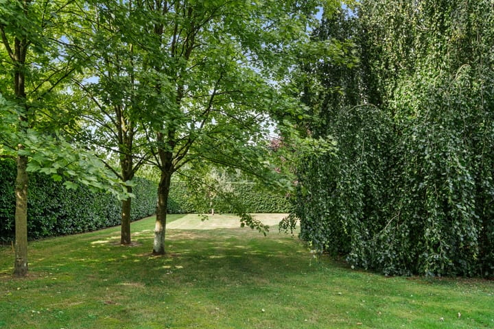 Foto 28 van Zoomweg 16