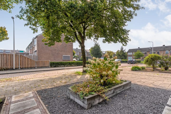 Foto 39 van Badinckstraat 21