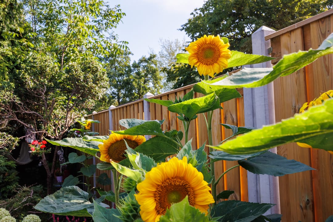 Foto 23 van Heeskesacker 2130