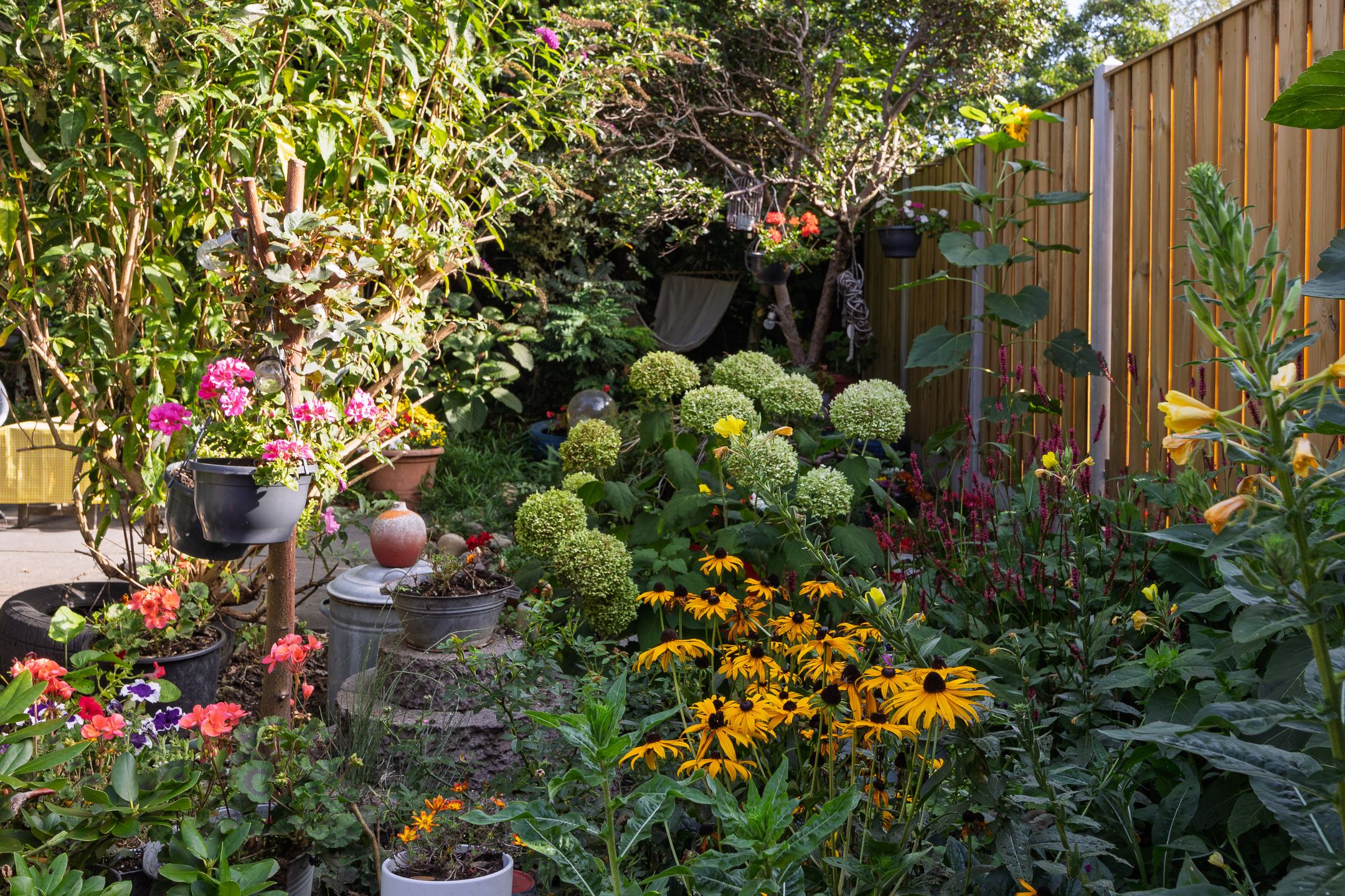 Foto 24 van Heeskesacker 2130