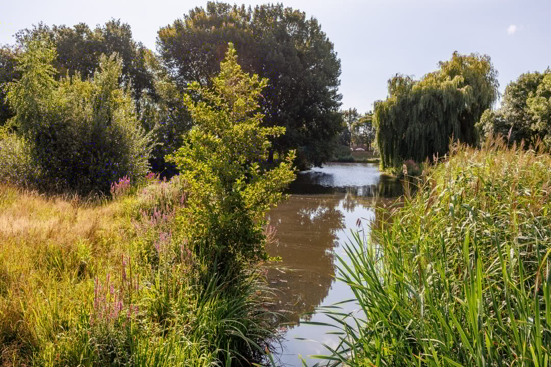 Foto 61 van Heeskesacker 2130