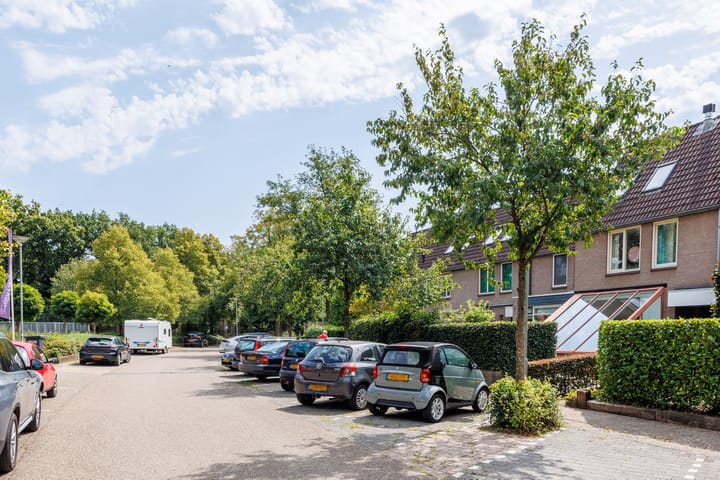 Foto 52 van Singel 81