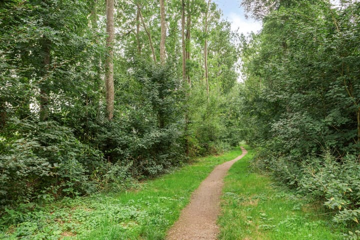 Foto 45 van Wagenmaker 4