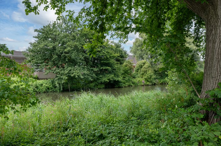 Photo 28 of Langswater 632