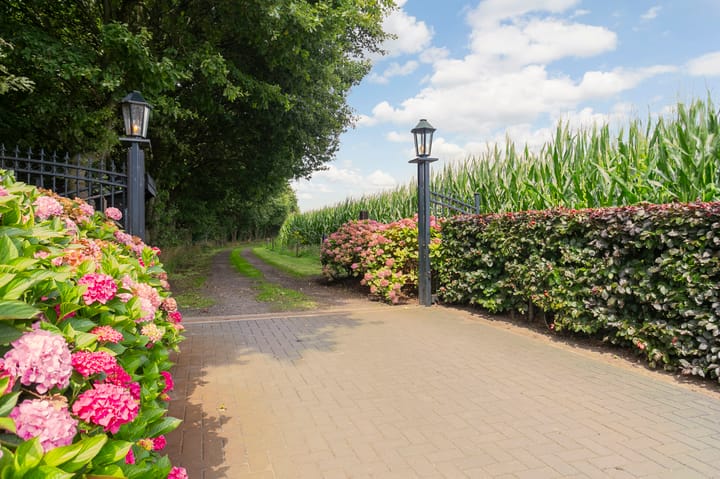 Foto 47 van L. Dolfingweg 2