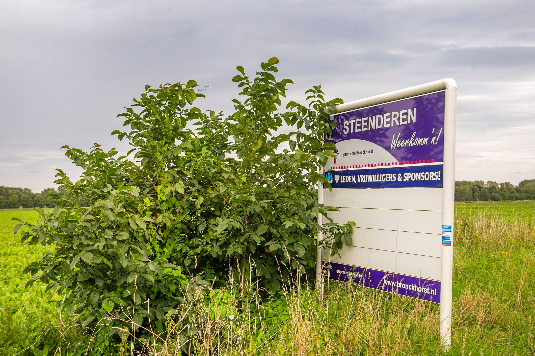 Photo 51 of L. Dolfingweg 2
