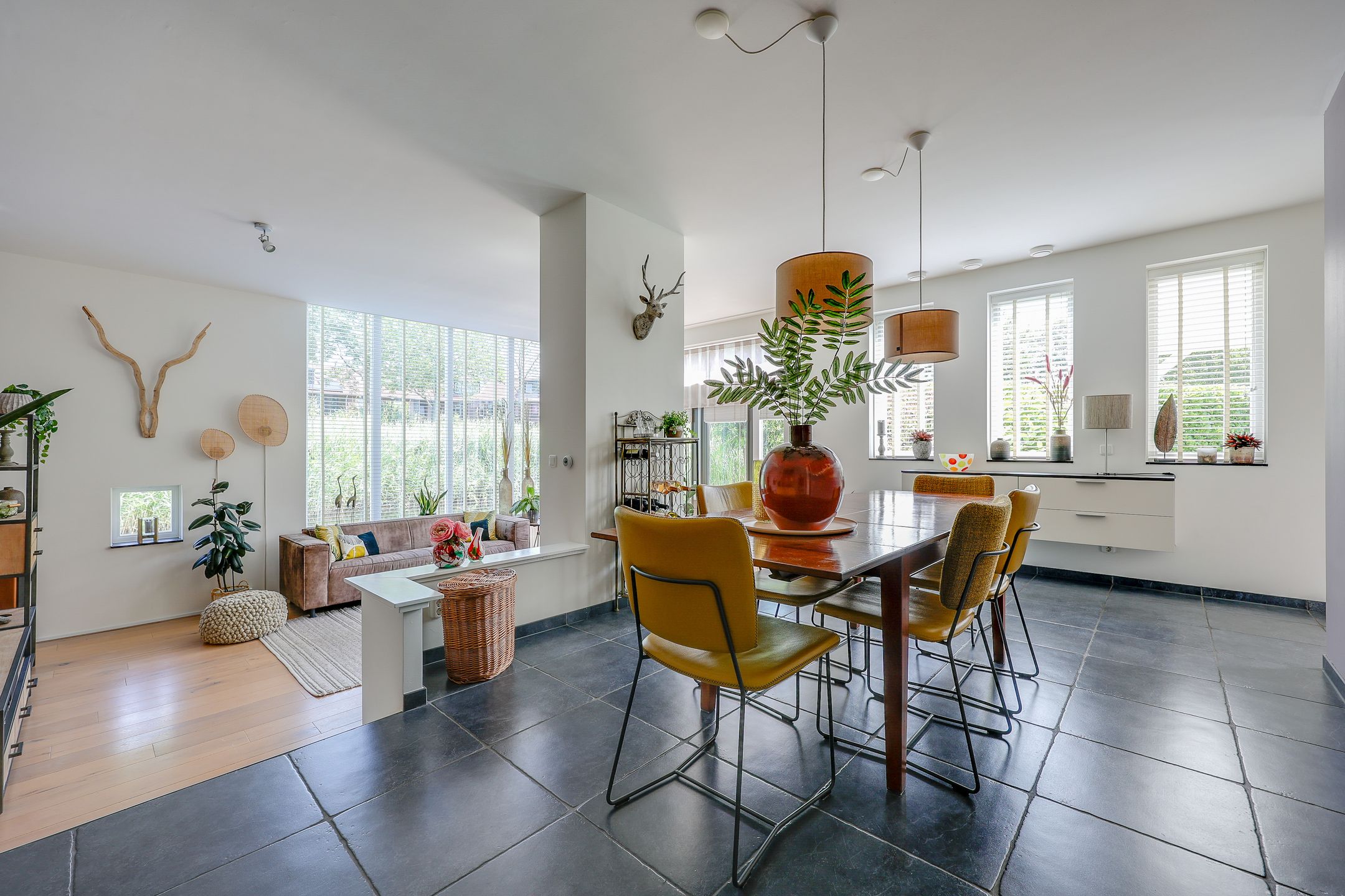 Foto 3 van Galjoen 15 2