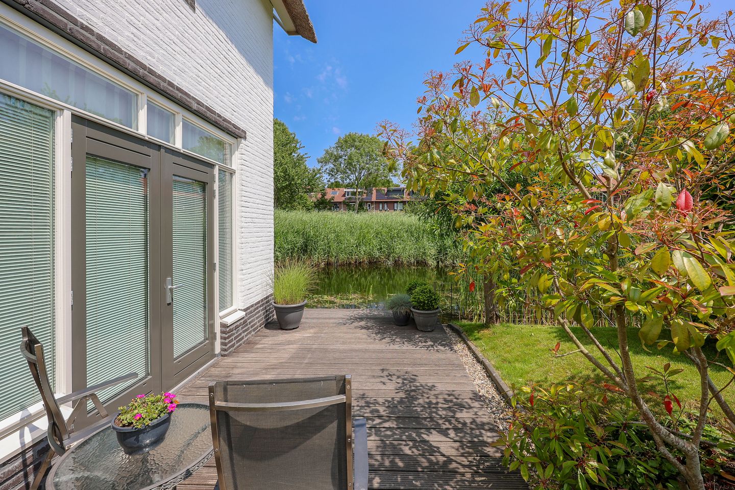 Foto 50 van Galjoen 15 2