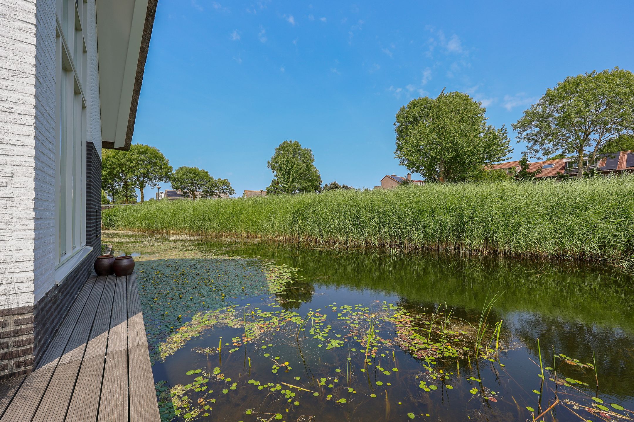 Foto 51 van Galjoen 15 2