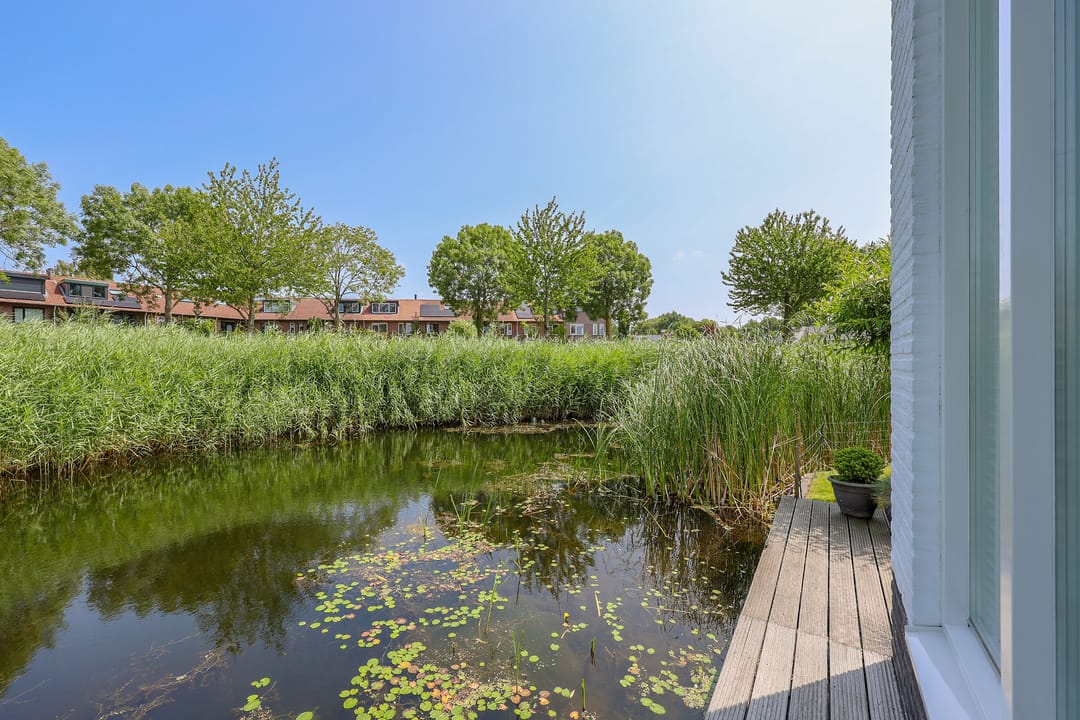 Foto 52 van Galjoen 15 2