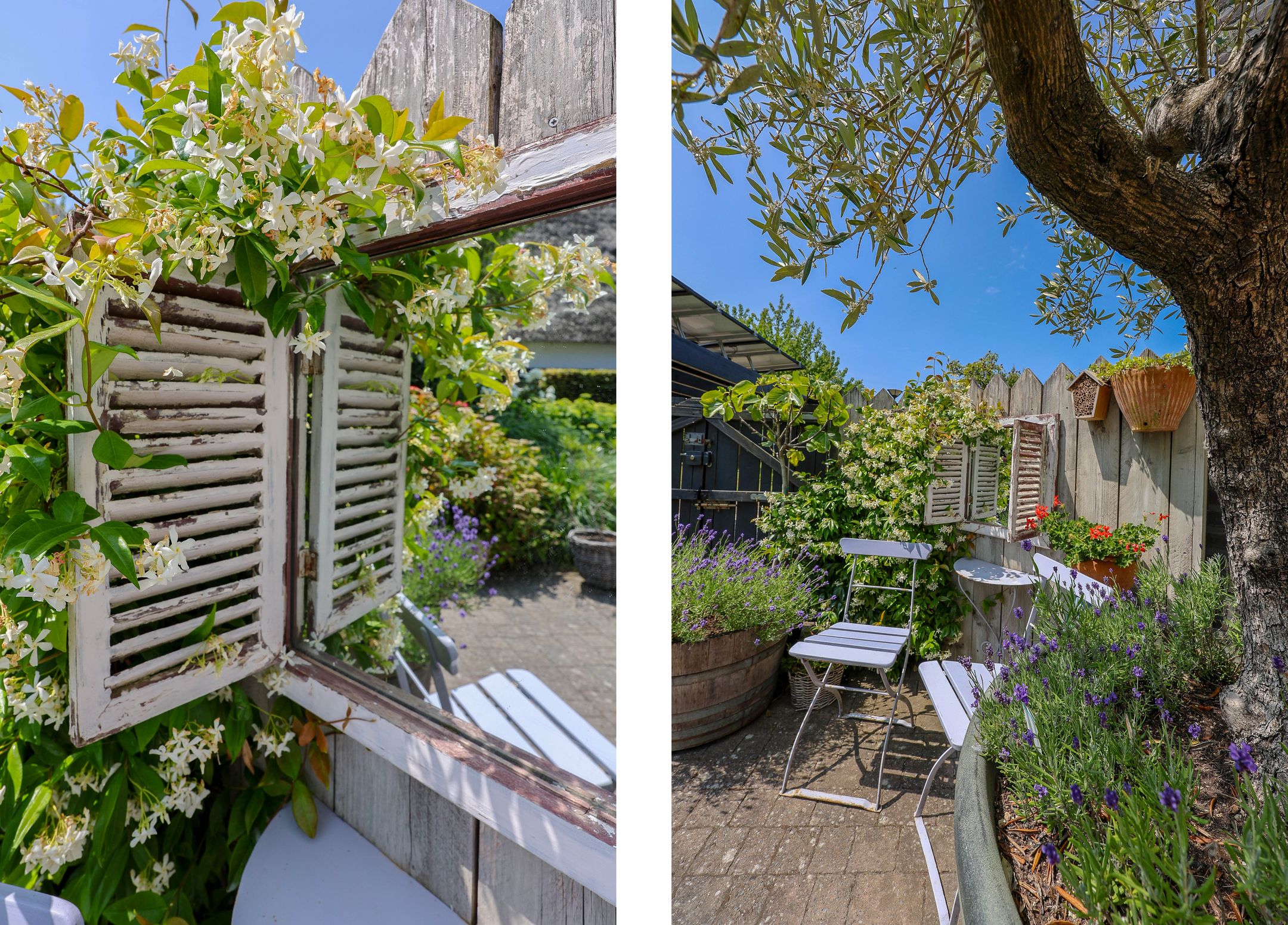 Foto 57 van Galjoen 15 2