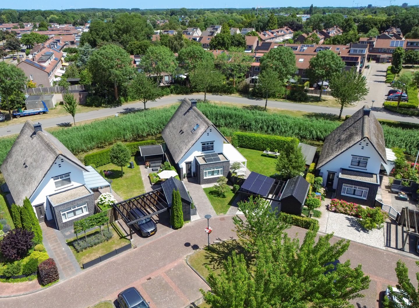 Foto 65 van Galjoen 15 2