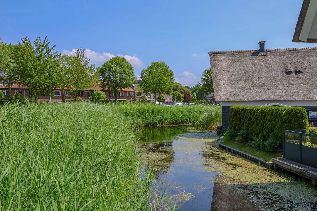 Foto 73 van Galjoen 15 2