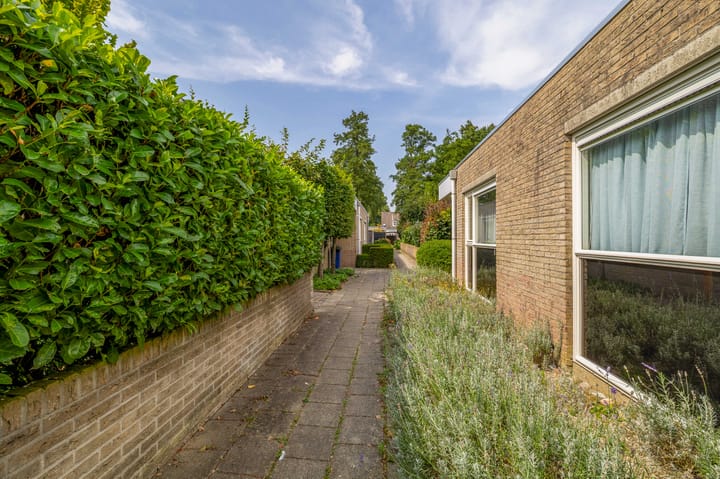 Foto 23 van Aart van der Leeuwstraat 7