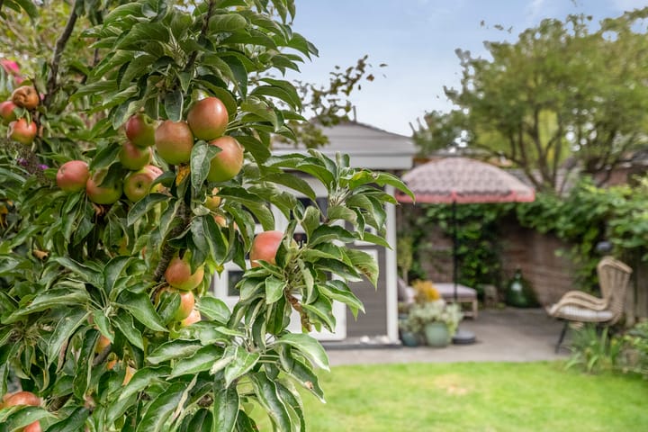 Foto 18 van Overtonstraat 24