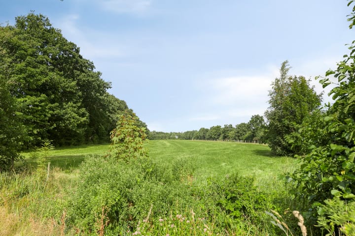 Foto 27 van Tsjerkebuorren 11